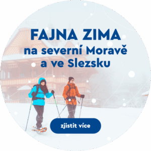 Fajna zima